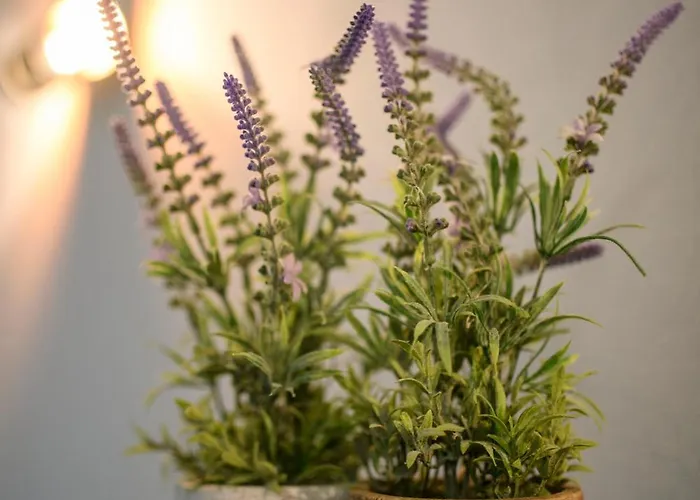 Afonso's House Gerês I Hébergement de vacances Braga